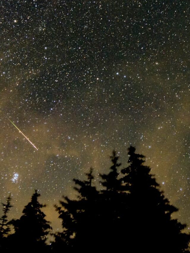 Perseids meteor shower will light up night sky this weekend – how you can see it